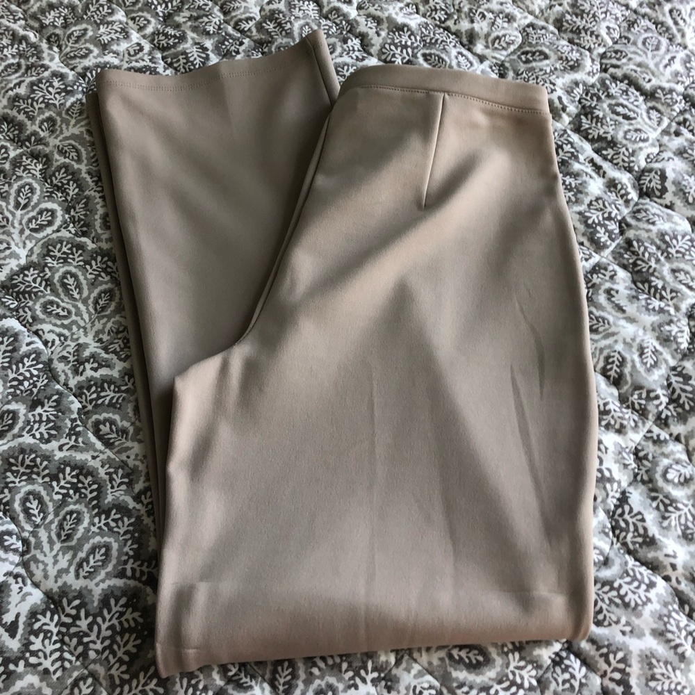 Express Polyester Pants